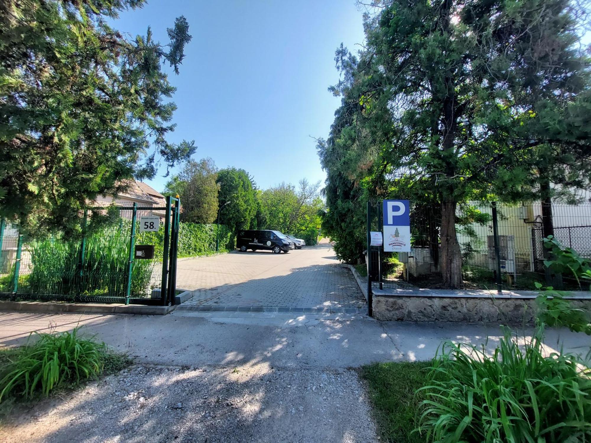 Mamutfenyő Panzió Tata Exterior foto